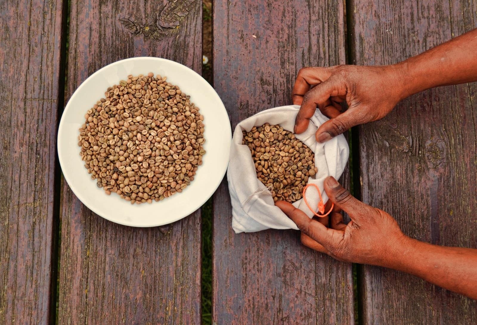 Milled green, graded over screens and by density: AA 17/18, AB 15/16, PB. Grading happens at the dry mill in Nairobi, and every export lot is cupped after grading — a screen size is a size, not a promise about the cup.