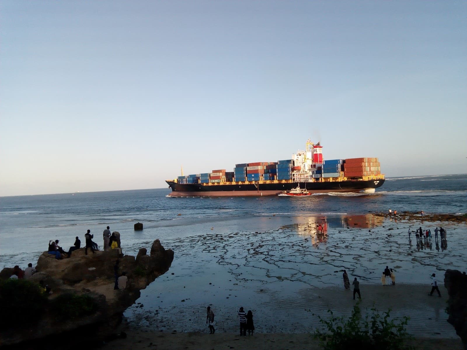 Mombasa. Coffee leaves in GrainPro liners inside jute, FOB or CFR as you prefer — 25–32 days to Novorossiysk, 35–45 to St Petersburg.
